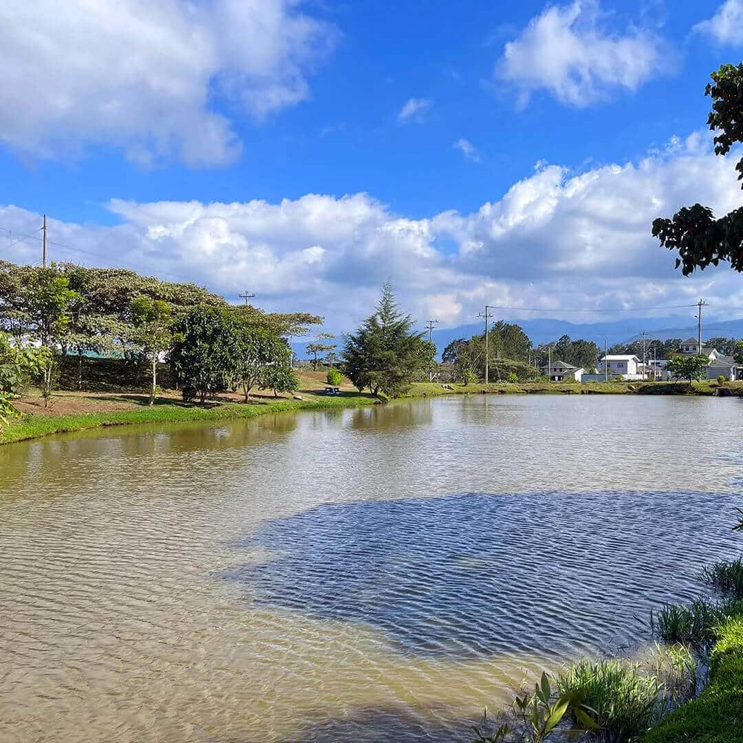 img arrabara mobile 04 Condominios Venta Casa Cartago Lotes