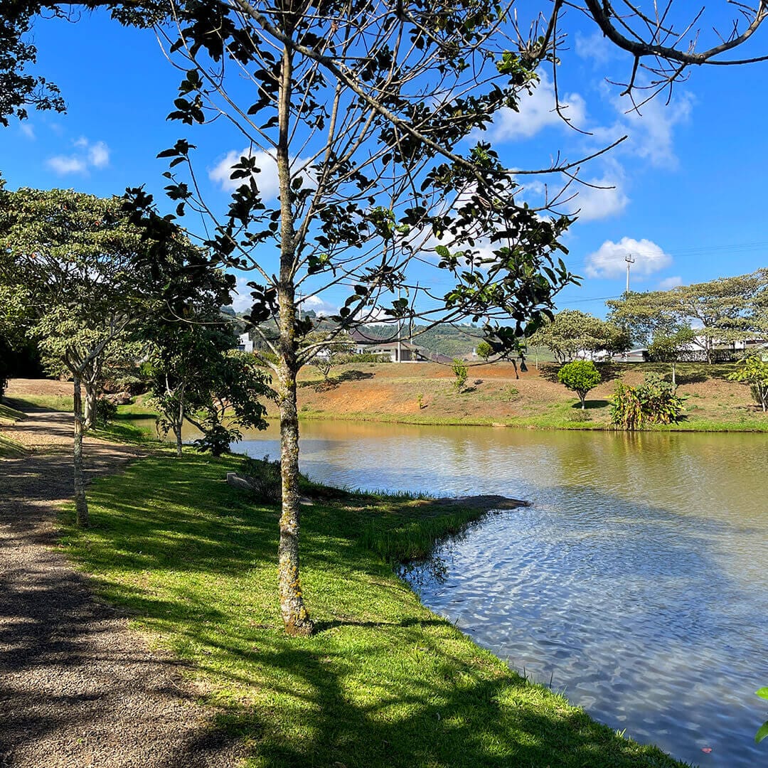 img arrabara mobile 12 Condominios Venta Casa Cartago Lotes